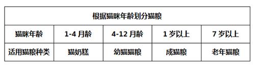 换猫粮竟还有这么多的学问！小猫呕吐拉稀居然是因为猫粮换急了