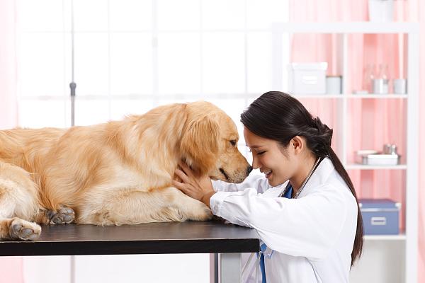 宠物医疗调查：看病比人贵、医生缺口大、专业度均